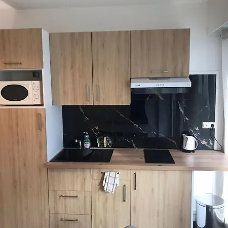 公寓 Studio 31m2 Plein Est Avec Balcon Laumiere